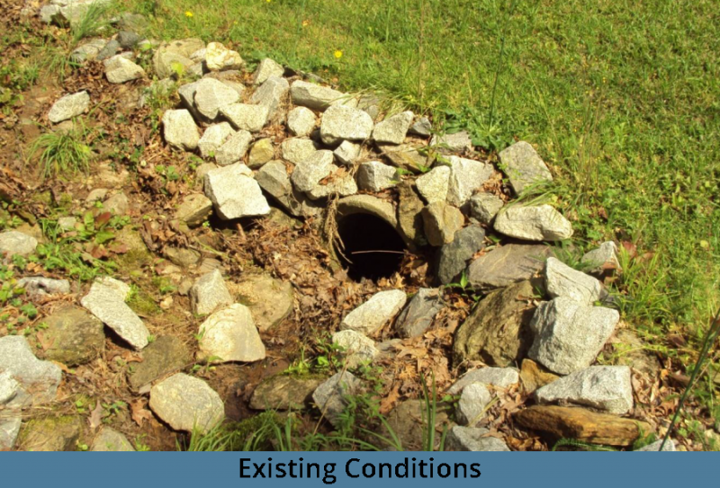 oak_existing_conditions-3